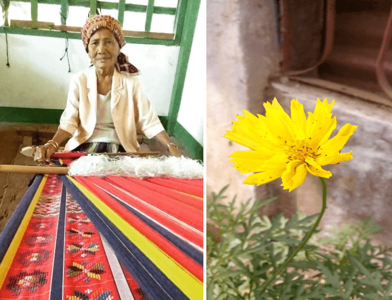 An Exploration of Floral Patterns in Philippine Textiles (Part 2)